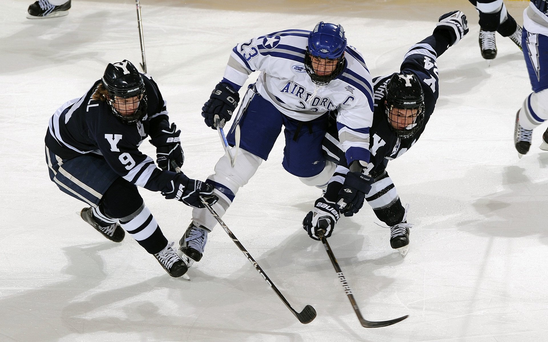 中国篮球联赛市场细分与营销研究，篮球联赛介绍