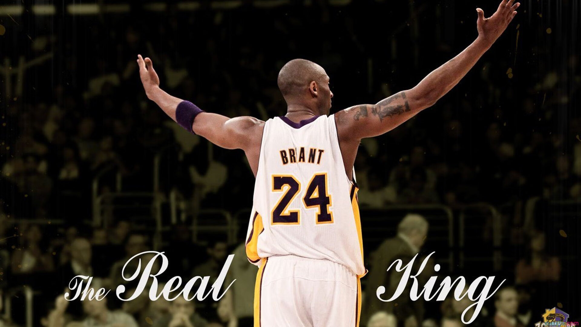 世界围棋赛推广活动走进多语种社群，围棋世界大赛讲解